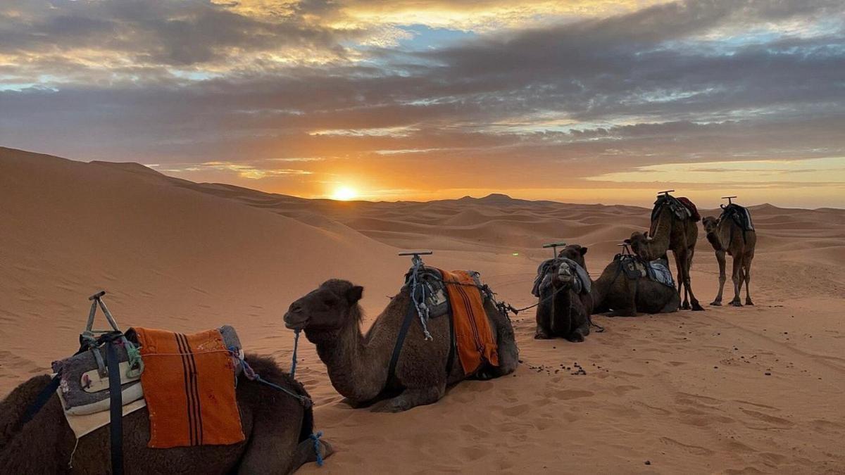 Chegaga Desert Trips M'Hamid Eksteriør bilde
